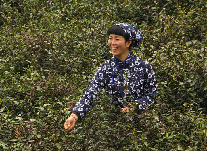 暗室对话